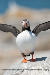 DSC_0212_ATPU1,MSI,6-18-13_edited-1