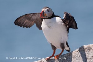 DSC_0232_ATPU6,MSI,6-18-13_edited-1