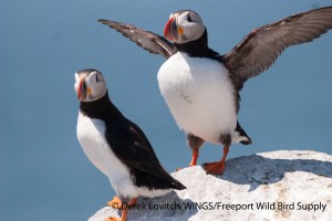 DSC_0240_ATPU8,MSI,6-18-13_edited-1