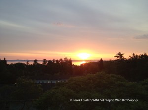 IMG_0951_Summer_Solstice,Bar_Harbor,6-21-13_edited-1