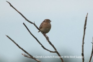 GHSP2,KennyPlains,7-12-13