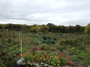 la Eagle Heights Garden