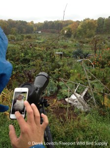 o RTHA Phone-scoping