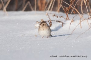 DSC_0077_CCSP3,WellsSewerage,12-16-13