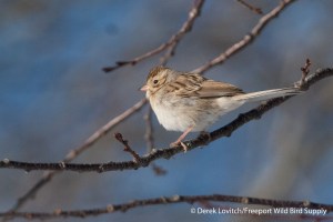 DSC_0082_CCSP1,WellsSewerage,12-16-13