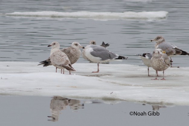 99.IMG_9975_edited-1