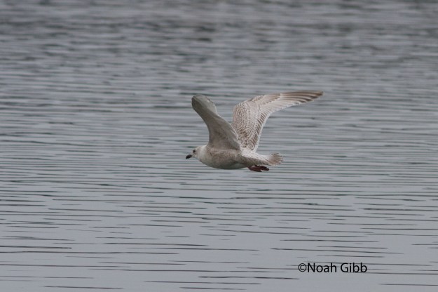 99.IMG_9998_edited-1