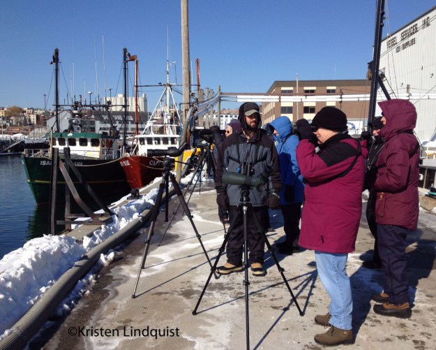 photo 3 (2)_edited-1