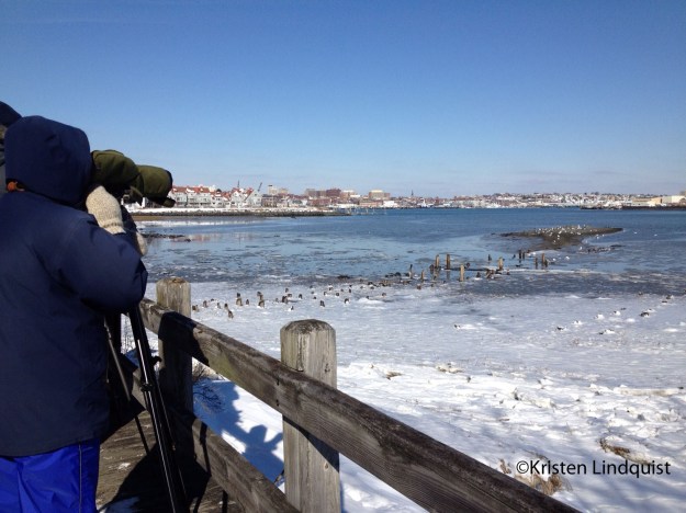 photo 3 (3)_edited-1