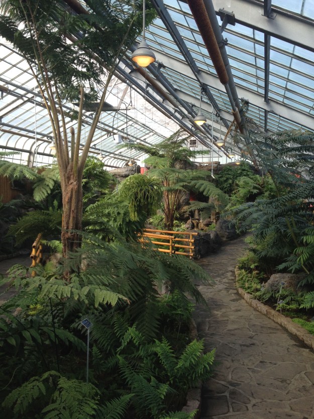 11. NHOW-phonescoped1a,3-9-14 (14)