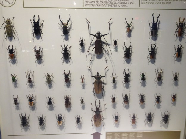 11a. NHOW-phonescoped1a,3-9-14 (28)