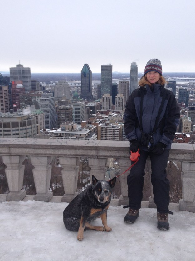 19. NHOW-phonescoped1a,3-9-14 (8)