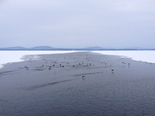 5. NHOW-phonescoped1a,3-9-14 (24)