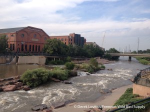 Confluence Park, Denver, 7-15-14