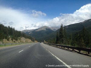 driving to Denver2,7-14-14