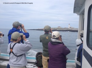 IMG_3970MSI_TUPU_chasing1,7-20-14