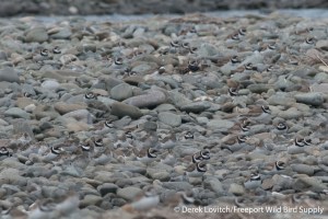 DSC_0001_SEPL_group1_edited-1