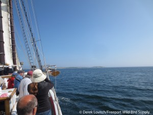 IMG_2142_Heading to Seal, 8-4-14_edited-1