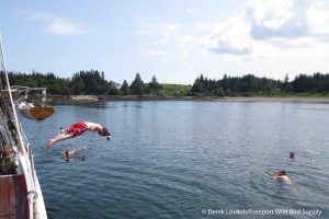 IMG_2198_Captain_Overboard,8-7-14