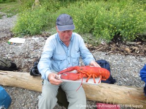 IMG_2209_Calderwood_Island3,8-7-14