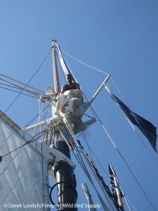 IMG_2235_Zack_aloft,8-9-14