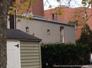 HETH,Portland,11-9-14_edited-1