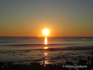 FullSizeRender1_edited-1