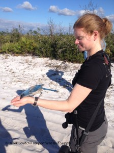 J-Mo_with_jay1,ArchboldBioStation,12-8-14_edited-1
