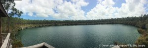Capt_Bills_Blue Hole_edited-1