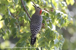 IMG_0037_edited-2