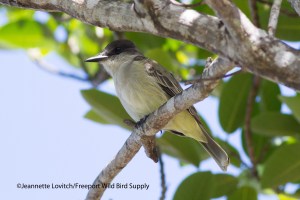 IMG_0121_edited-2