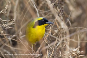 IMG_0156 (2)_edited-2