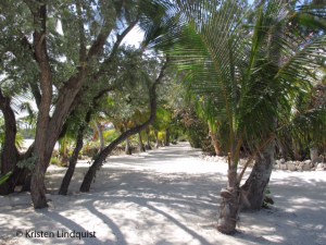 Small Hope Lodge 2_edited-1