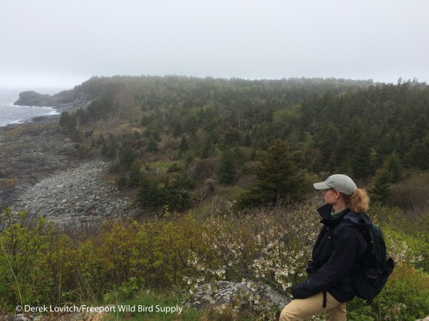 Hiking_East_Side,5-19-15_edited-1