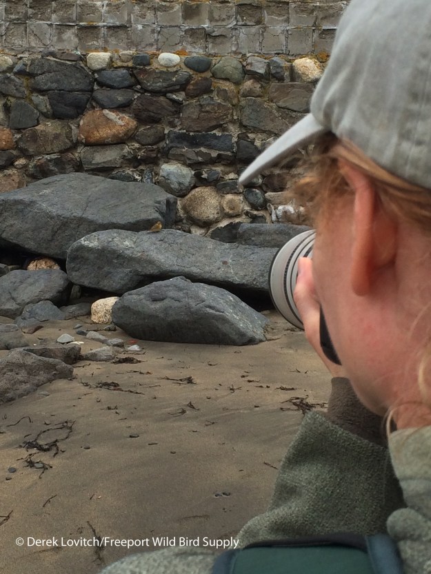 J_SUTA,Monhegan,5-19-15_edited-1