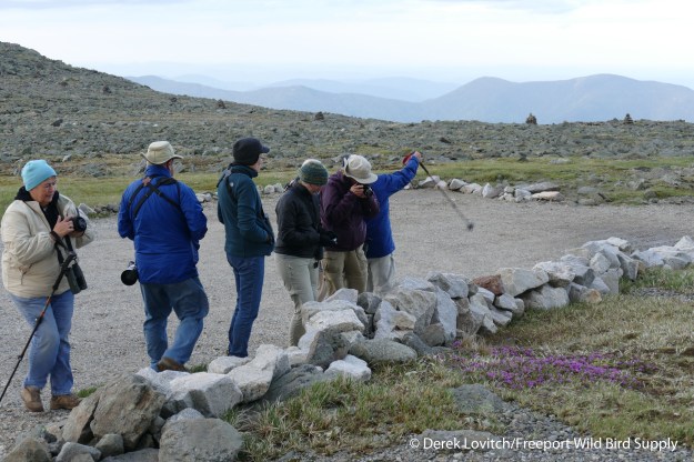 GroupAtCowPasture_edited-1