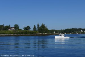 10. L1020565_PleasantPointGut,7-22_edited-1