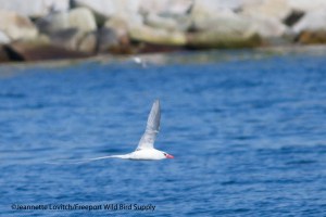 11. IMG_1633_edited-2