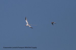 12. IMG_1695_edited-2