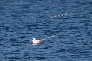 16. IMG_1738_edited-2