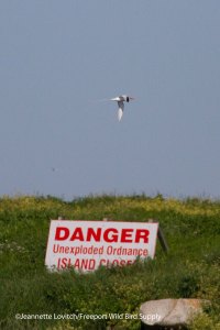 17. IMG_1684_edited-2