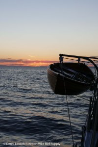 20. L1020658_Seal_Island_sunset,7-22_edited-1