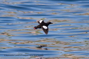 23. IMG_1875_edited-2