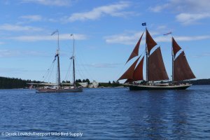 29. L1020706_FrenchandAngelique,Russ_Island,7-23_edited-1