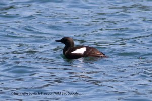 3. IMG_1540_edited-2