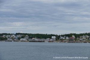 31. L1020717_Stonington,7-24_edited-1
