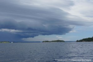 32. L1020727_Storm1,7-24_edited-1