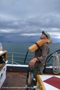 33. L1020730_Storm2,7-24_edited-1