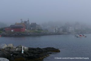 9. L1020554_departingMonhegan,7-21_edited-1