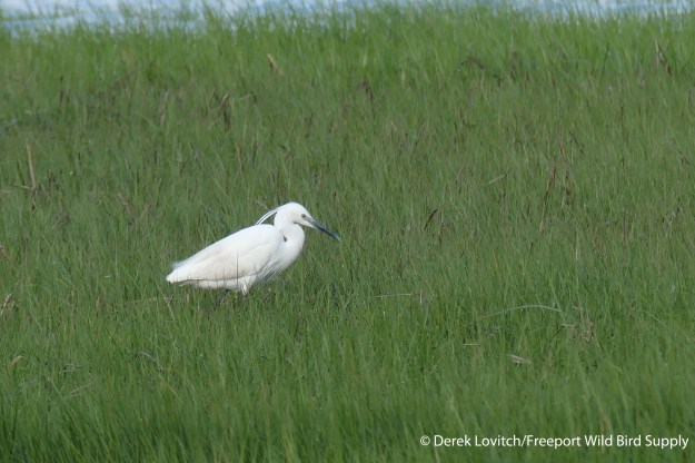 L1020115_LIEG_best_edited-1